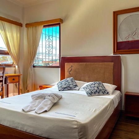 Luz De Luna Hotel Barrio Escalante Сан-Хосе Екстер'єр фото