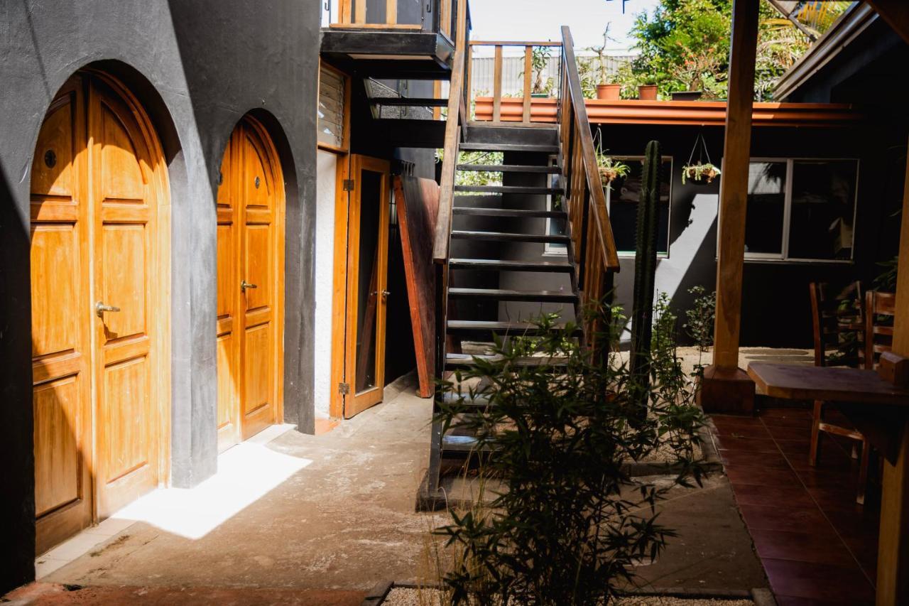 Luz De Luna Hotel Barrio Escalante Сан-Хосе Екстер'єр фото