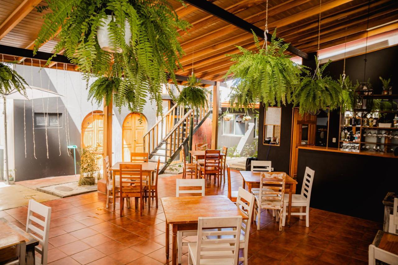 Luz De Luna Hotel Barrio Escalante Сан-Хосе Екстер'єр фото