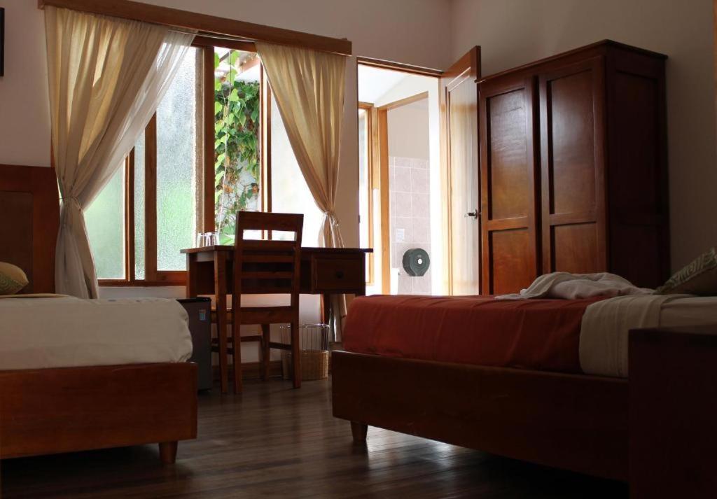 Luz De Luna Hotel Barrio Escalante Сан-Хосе Екстер'єр фото